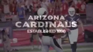 Larry Fitzgerald Career Highlights MV