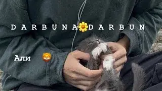 Nasheed- Нашид ^|  DARBUNA🍃DARBUN🖇💔🩹) Очень Прекрасная Нашиды 🎧🌼 Бехтарин Нашид 🍃🩹🎧