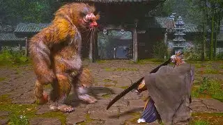 Mad Tiger VS Yin Tiger  | Black Myth Wukong