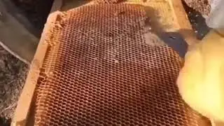 Uykunuzu Getirecek Rahatlatıcı Videolar #1