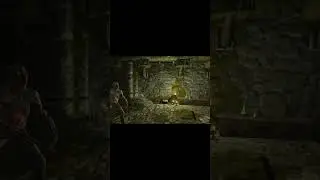 Spider Web 😎 #Skyrim #Funny #Gamer