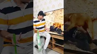 आजकल सबकुछ उल्टा सीधा हो रहा है 🙃😲 #comedy #mostlyrajnideepak