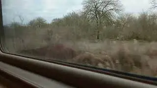 наслаждаемся полями
