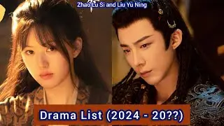 Zhao Lu Si and Liu Yu Ning | Drama List (2024 - 20??) |