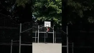 spider moves