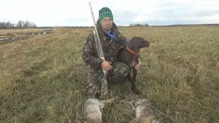 WHERE TO LOOK FOR A HARE IN BAD WEATHER??? HARE HUNT!!! DRY-DRYED HARE SAUSAGE PART 1