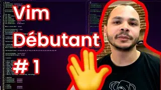Starting from scratch with VIM #1