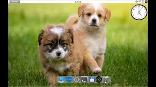 DOGOS 1.0 СДЕЛАНА В ПОВЕР ПОИНТ