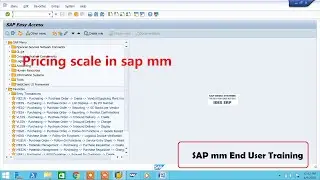 Pricing scale in sap mm