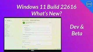 Windows 11 Build 22616: Fixes Explorer Performance, App Crashing, Swipe Functionality, and More