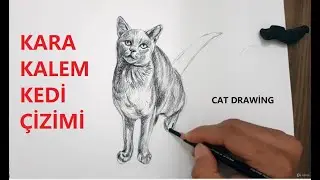Karakalem kedi Çizimi | Cat Drawing