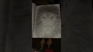 LION KING OF JUNGLE RATE 1 TO 100  🦁 #shorts