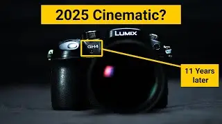BEST Budget Cinematic Camera 2025: Panasonic GH4?
