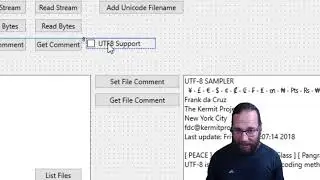 FMX Designer Guidelines - Delphi 