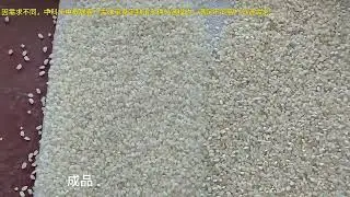 AMD Super RG Yellow、White and Broken Color Sorting/Sortex/Sorter Machines