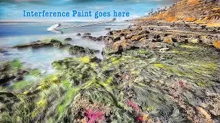 Coloring a Black and White photo of Seagrass with Interference Acrylics and Oils