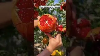 Как разрезать гранат #shorts #лайфхак