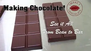From Bean to Bar: How to Make Chocolate!