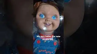 Dexter is not a fan of my new toy.