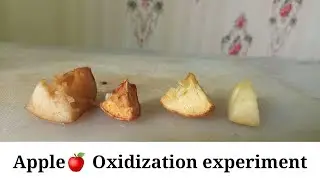 Apple 🍎Oxidization experiment.