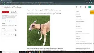 Introduction to APIs in Google | Qwiklabs [GSP294]