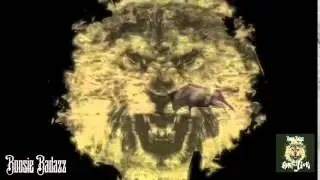 Lil Boosie: Heart Of A Lion 2014