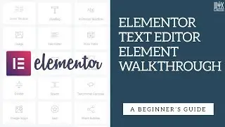 Elementor Text Editor Element