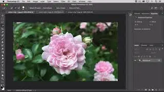 37 | Why to make selections | Photoshop tutorials 2021 | Getall Channel 37