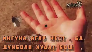 Шеъри  Мухаммадикболи Лохури..... 