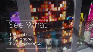 Customer Insights