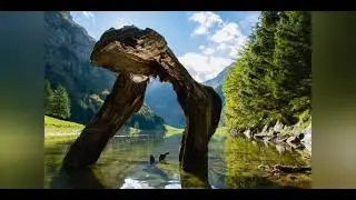 Switzerland or Pakistan??