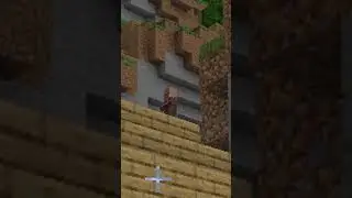 Ninjaxx trouve un Villageois qui se prend pour Batman..