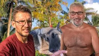 Ташу сбили | Обрезали дерево | Роем котлован под дом | Жизнь в деревне 