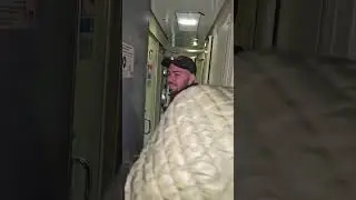 Захожу в поезд. #shotrs