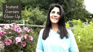 5 Simple Steps To Transform Your Garden Space || Garden Makeover
