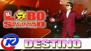 EL LOBO Y LA SOCIEDAD PRIVADA - DESTINO (MAYO 2018)