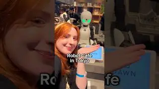 Most wholesome ROBOT café