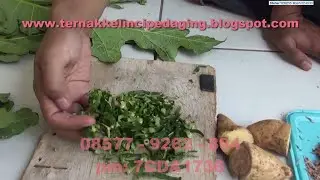 Ternak Kelinci [081213644254] - Cara Membuat Pakan Kelinci Langsung dan Fermentasi