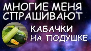 Кабачки на подушке / Многие меня спрашивают