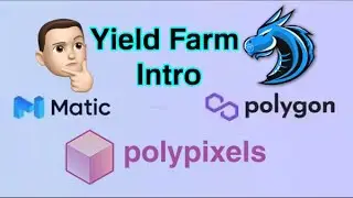 Intro To Yield Farming On Polygon with PolyDragon