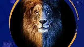 The Tragic Story of Sultan the Lion who ended his trainer’s life!