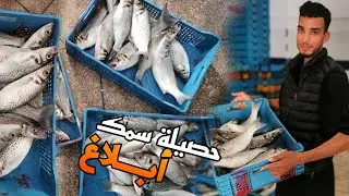 رحلة صيد سمك شمال مدينة داخلة (مصيد حجرة لقنب) والحمد لله كانت الحصيلة 🎣🐟😍