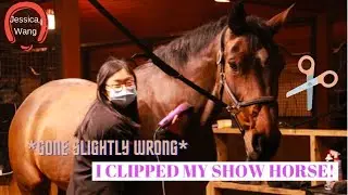 Giving My Horse a Haircut (satisfying clip)