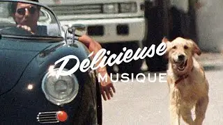 Fellini Félin - Oh Stop!