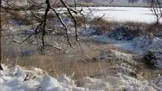 Netherlands: The National Park Maasduinen in Arcen