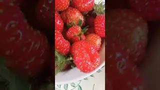 Клубника🍓! Ягодка созрела!🍓🍓