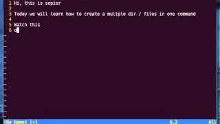 Bash Tutorial - Create Multiple Directories or Files