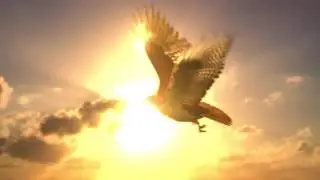 3d Falcon