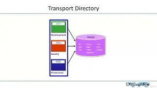 SAP BASIS COURSE: Lec 38. Transport Management System (TMS) setup.