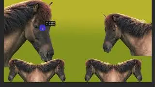 how to edit a14ff photo
